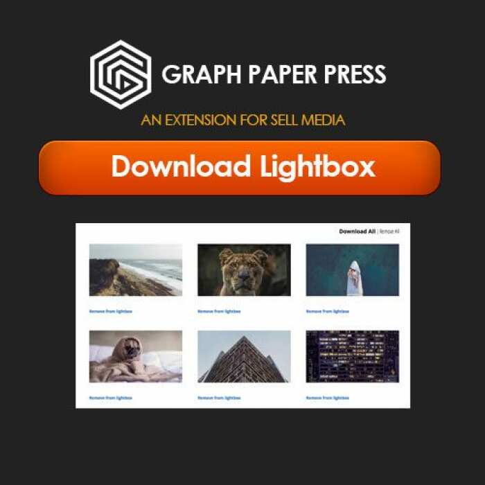 graph paper press sell media download lightbox 62308519a44b3