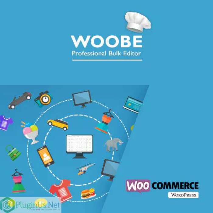woobe woocommerce bulk editor professional 62309b0f87867