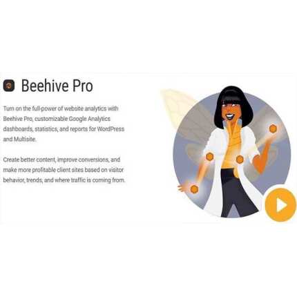 beehive pro for wordperss nulled plugin 3 4 12 665e36d2175ad.jpeg